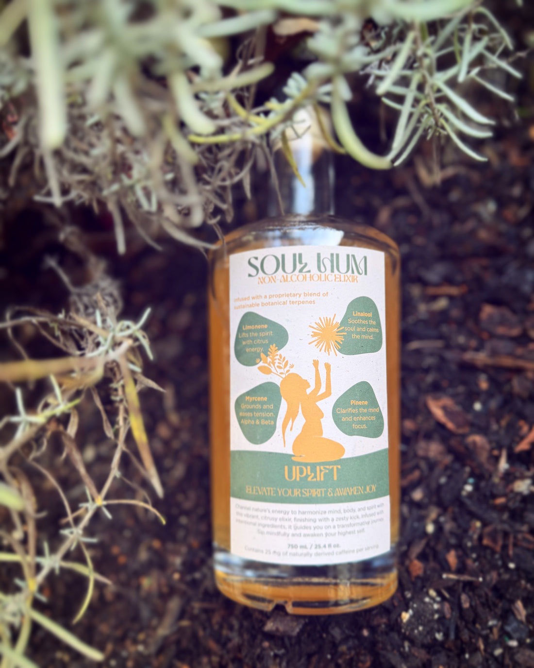 Anna's  Soulhum Spritz!