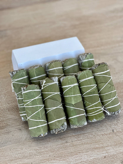 White Sage w/ Eucalyptus Smudge Sticks